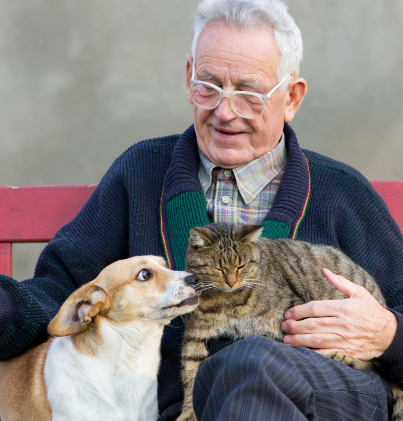 Senior man sitting with a dog and a cat on his lap