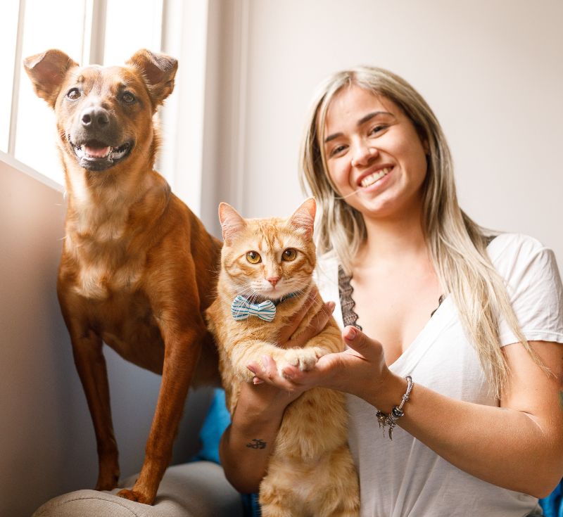 Woman with a cat in a bow tie and a dog by a window Woman with a cat in a bow tie and a dog by a window