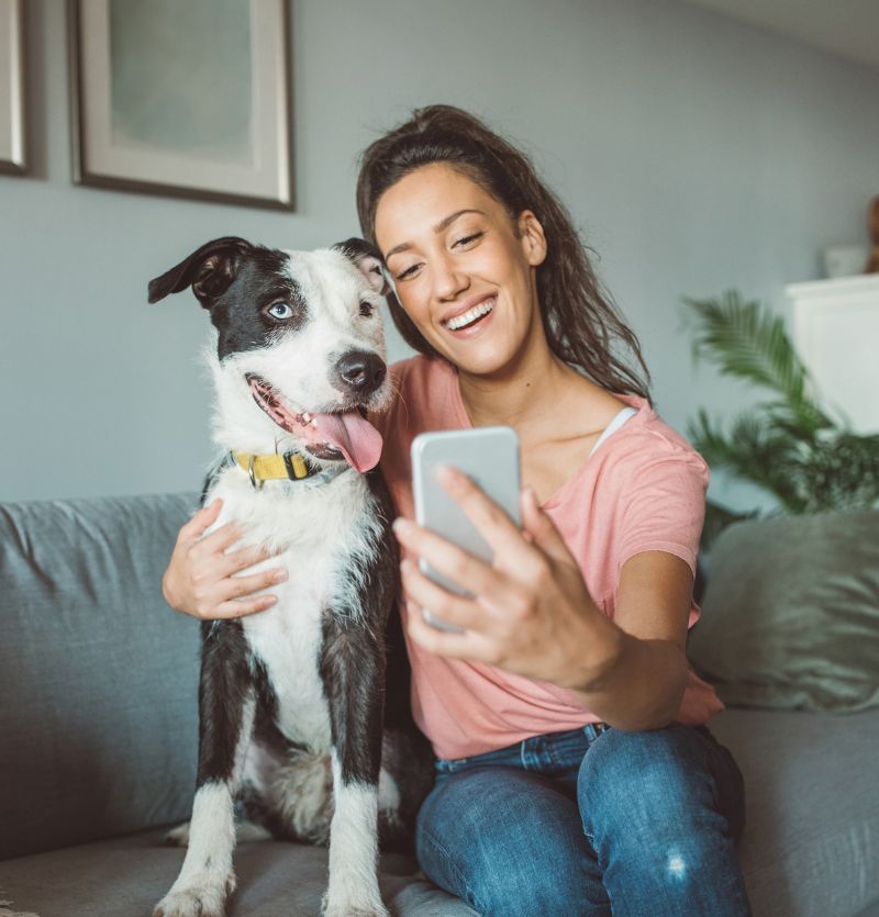 woman taking selfie with dog Woman smiling while taking a selfie with her black and white dog sitting on a couch.