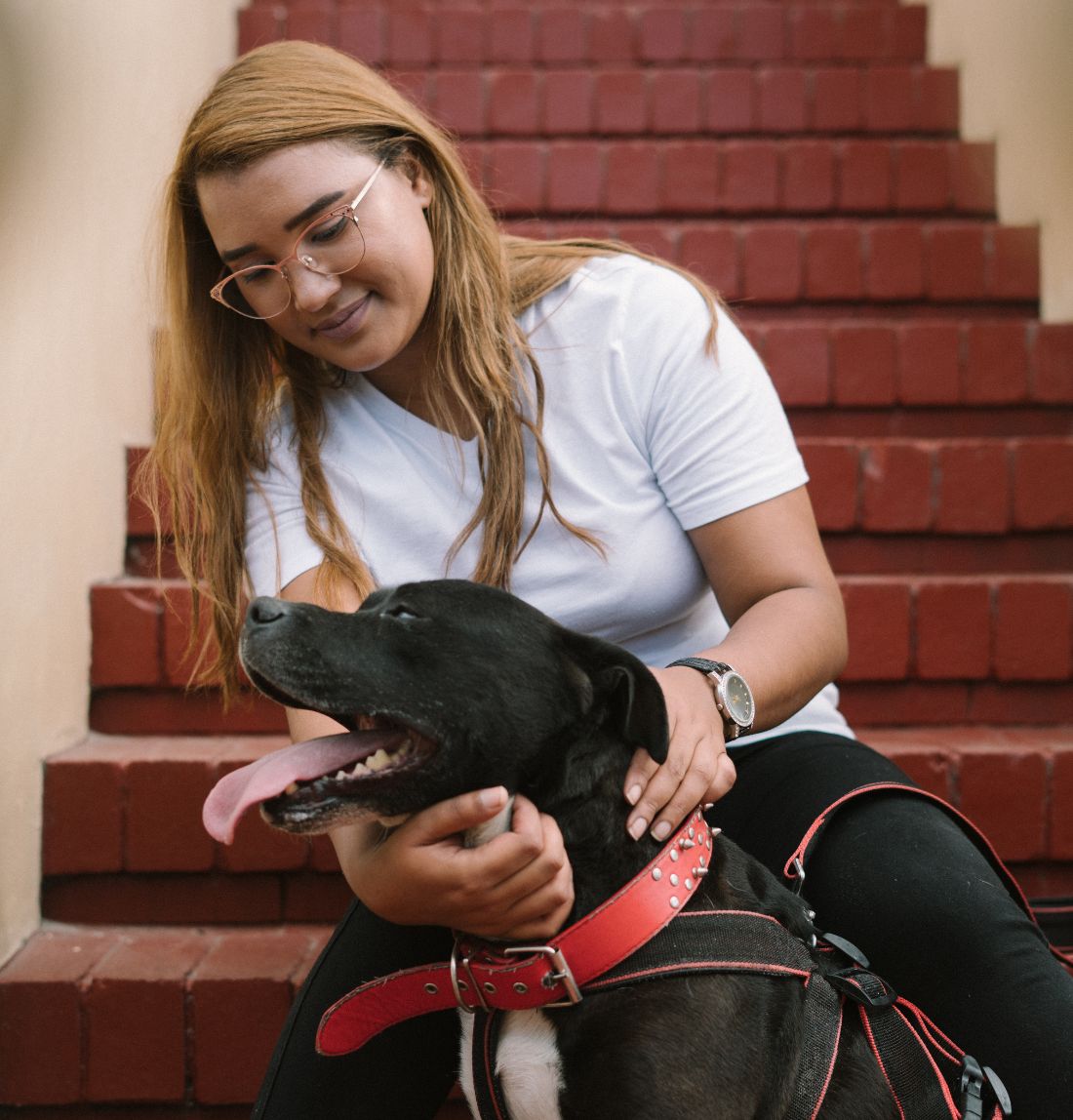 Smiling woman sitting on steps with her black dog in a red harness.
