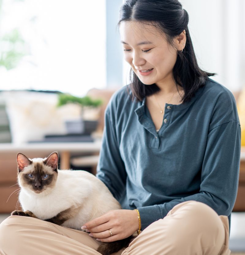 Woman sitting with Siamese cat on her lap Woman sitting with Siamese cat on her lap