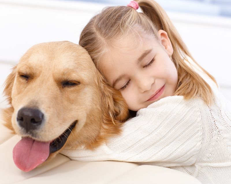 Young girl hugging a Golden Retriever with both smiling Young girl hugging a Golden Retriever with both smiling