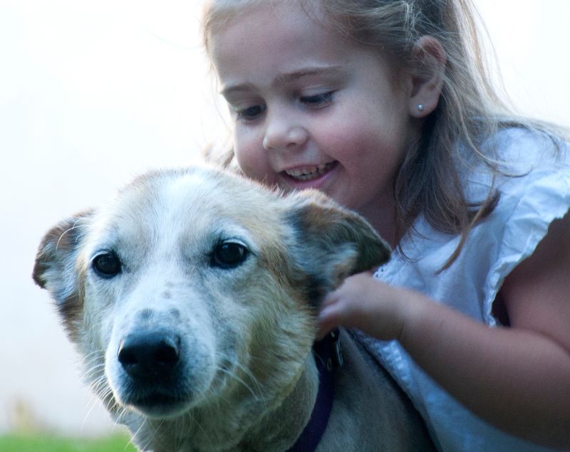 Smiling young girl playing with her dog