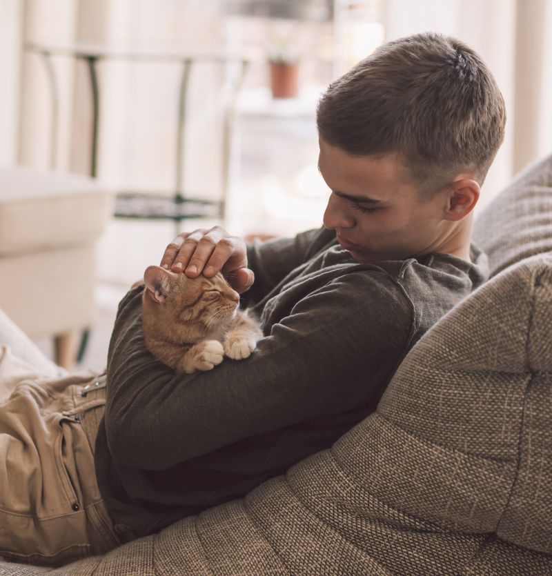 Man petting orange tabby cat on couch.