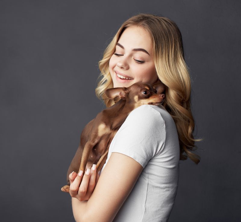 Young woman holding a small brown Chihuahua Young woman holding a small brown Chihuahua