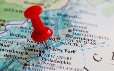 What Are the Emotional Support Animal (ESA) Laws in New York?