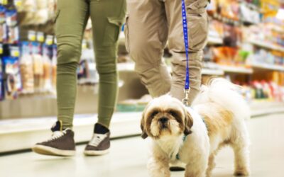 Can You Bring Dogs To Home Depot?