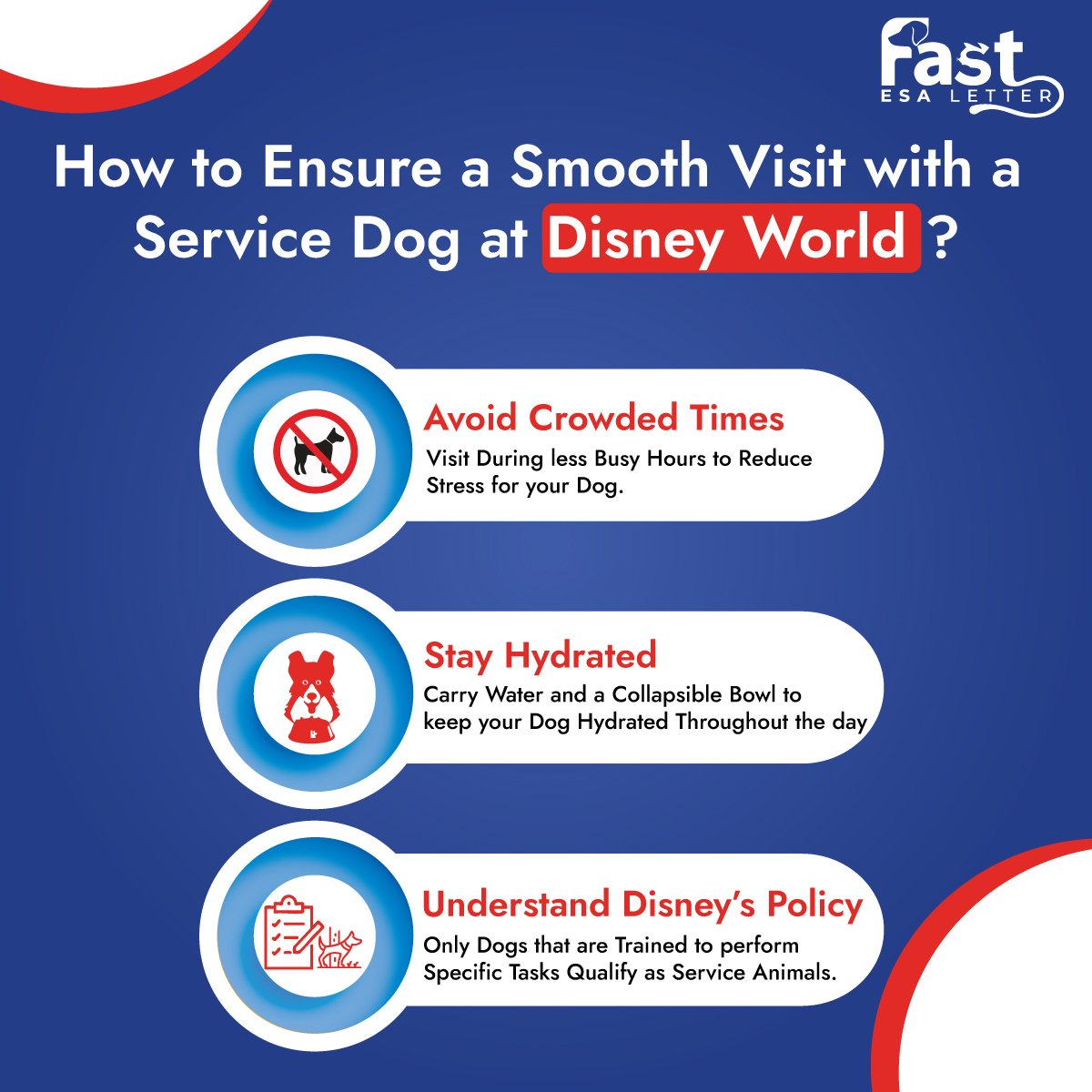 Ensure a Smooth Visit with a Service Dog at Disney World Ensure a Smooth Visit with a Service Dog at Disney World