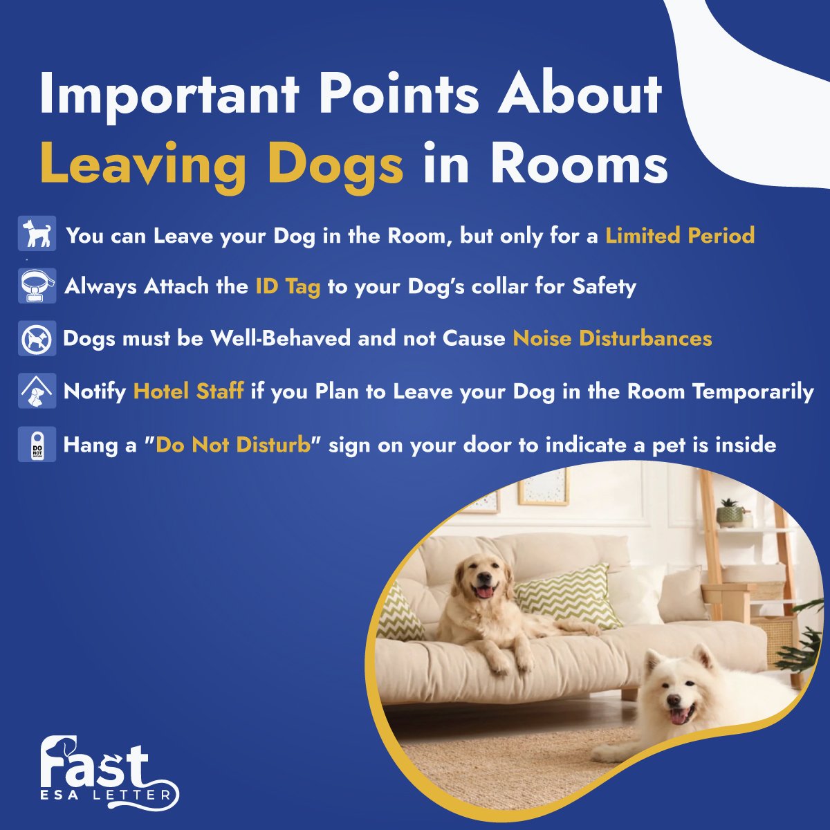 Important Points About Leaving Dogs in Rooms Important Points About Leaving Dogs in Rooms