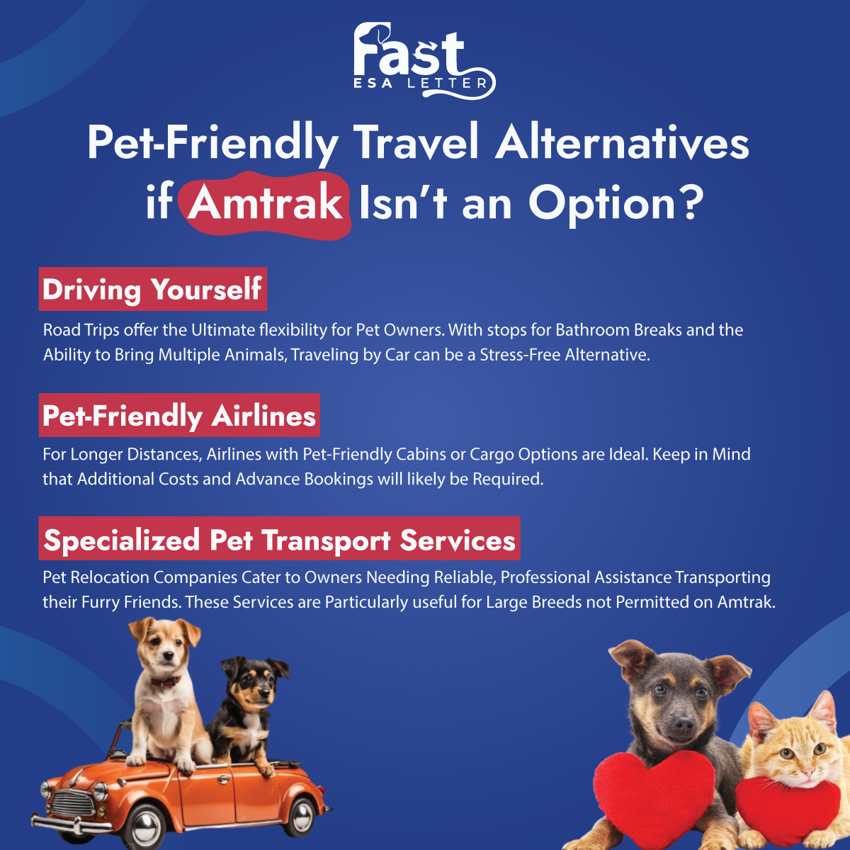 Pet-Friendly Travel Alternatives if Amtrak Isn’t an Option Pet-Friendly Travel Alternatives if Amtrak Isn’t an Option