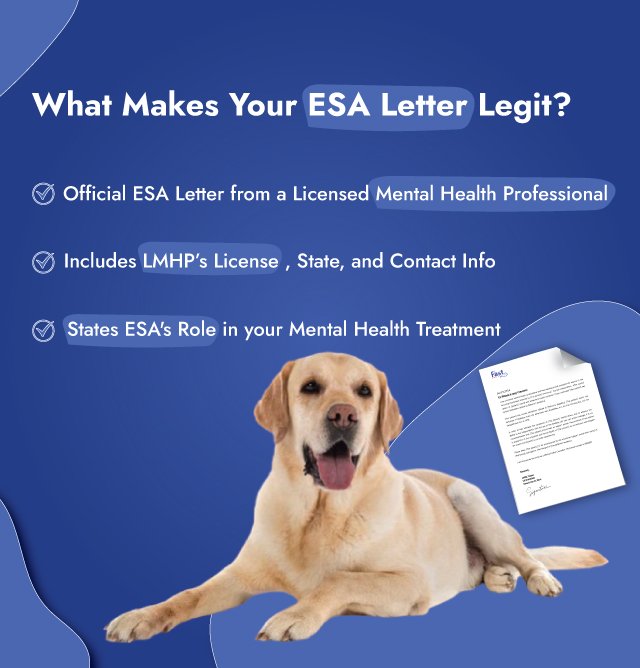 Factors That Makes Your ESA Letter Legit Factors That Makes Your ESA Letter Legit