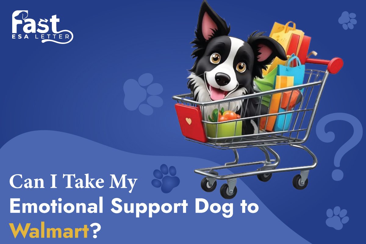 Can I Take My Emotional Support Dog to Walmart? Can I Take My Emotional Support Dog to Walmart?