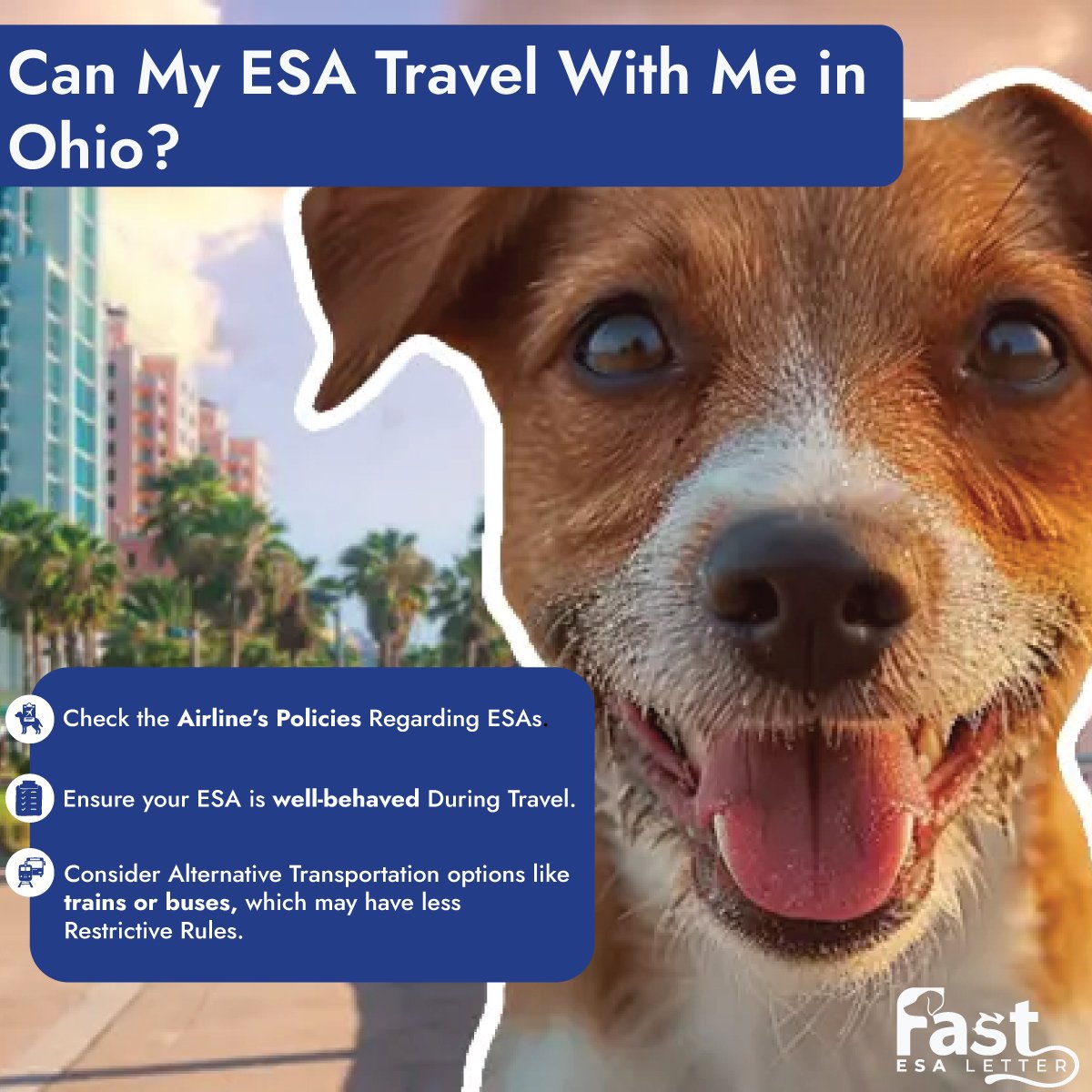 Can My ESA Travel With Me in Ohio? Can My ESA Travel With Me in Ohio?
