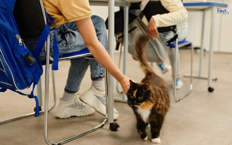 Emotional Support Animal in School Emotional Support Animal in School