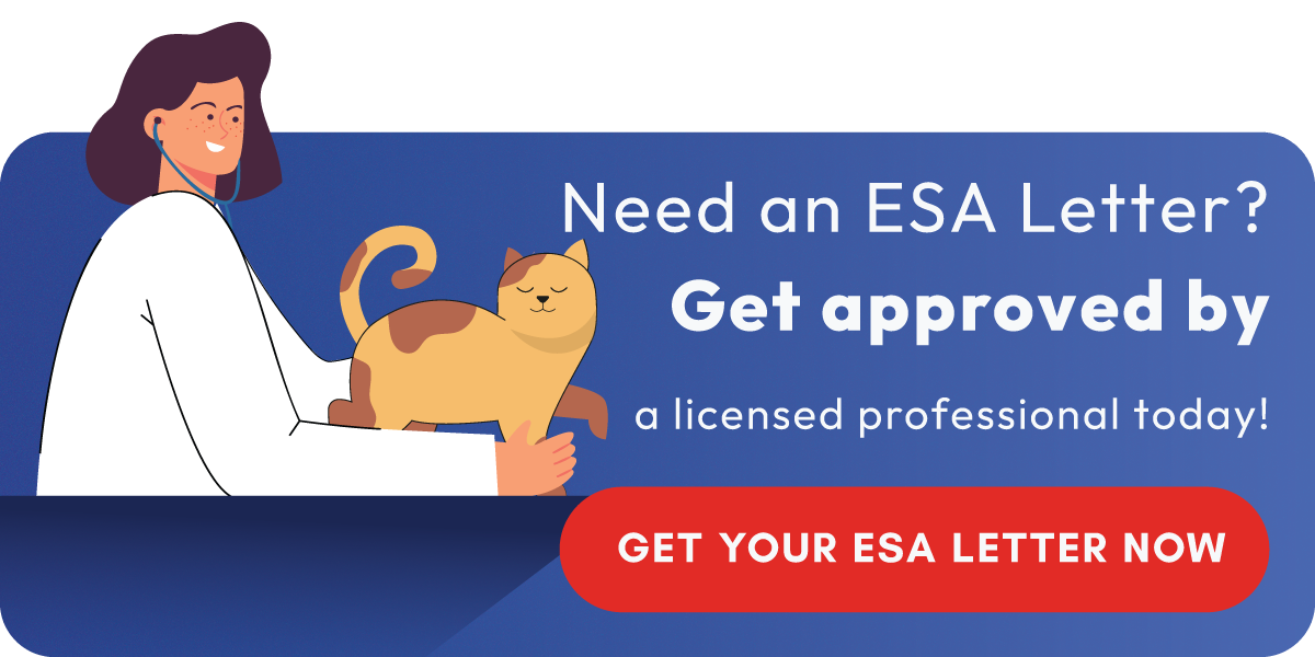 Get Your ESA Letter Now Get Your ESA Letter Now