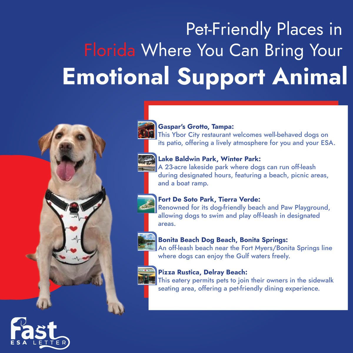 Places in Florida Where You Can Bring Your Emotional Support Animal Places in Florida Where You Can Bring Your Emotional Support Animal
