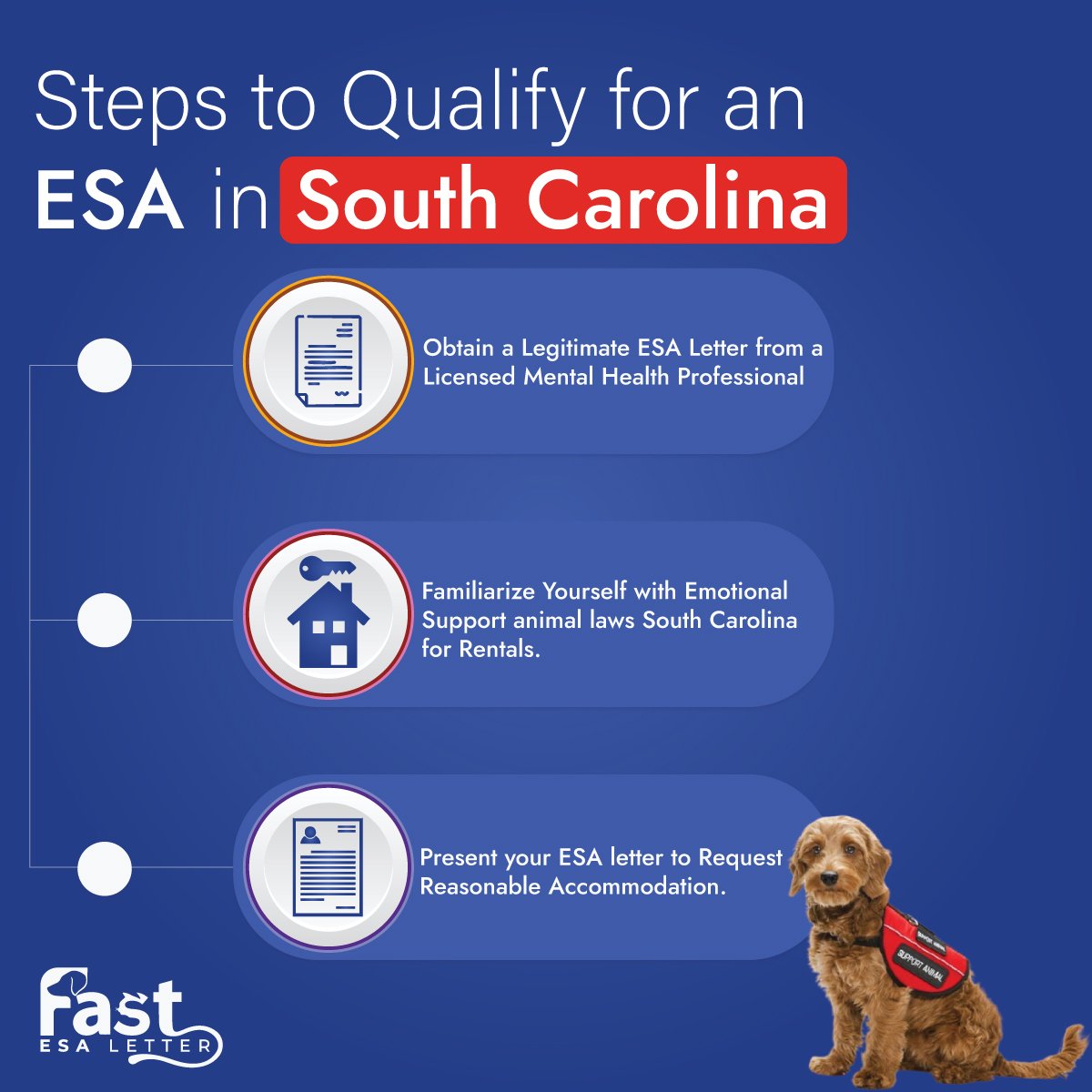 Steps To Qualify For An ESA in South Carolina Steps To Qualify For An ESA in South Carolina