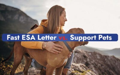 Fast ESA Letter vs. Support Pets: Which Is the Best Choice for Your ESA Needs?