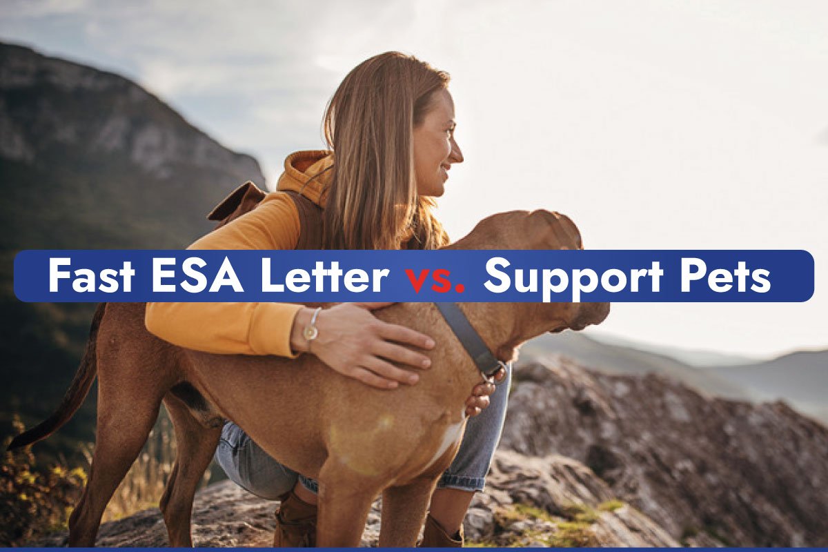 Fast ESA Letter vs Support Pets Fast ESA Letter vs Support Pets