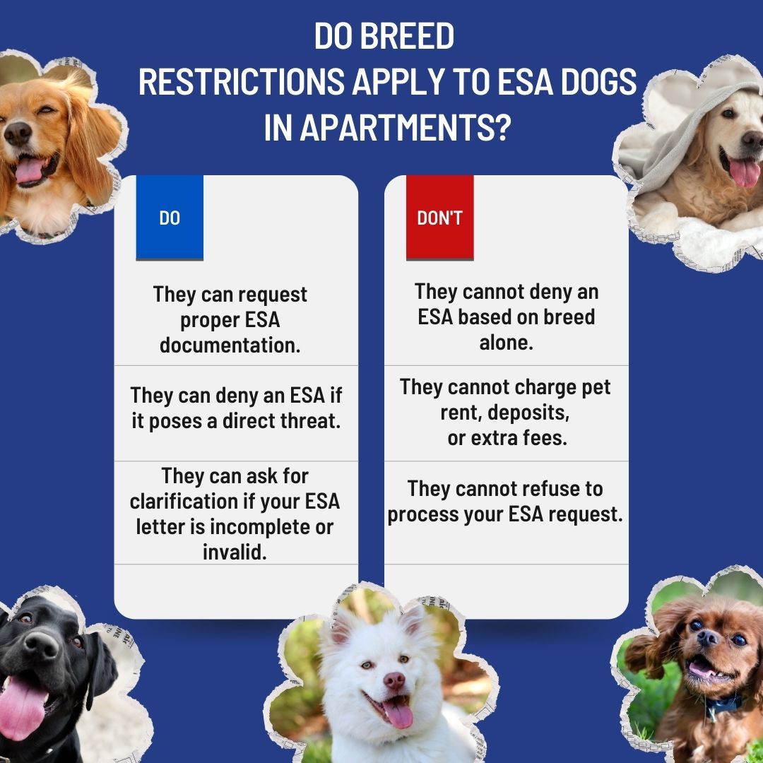 Do Breed Restrictions Apply to ESA Dogs in Apartments Do Breed Restrictions Apply to ESA Dogs in Apartments