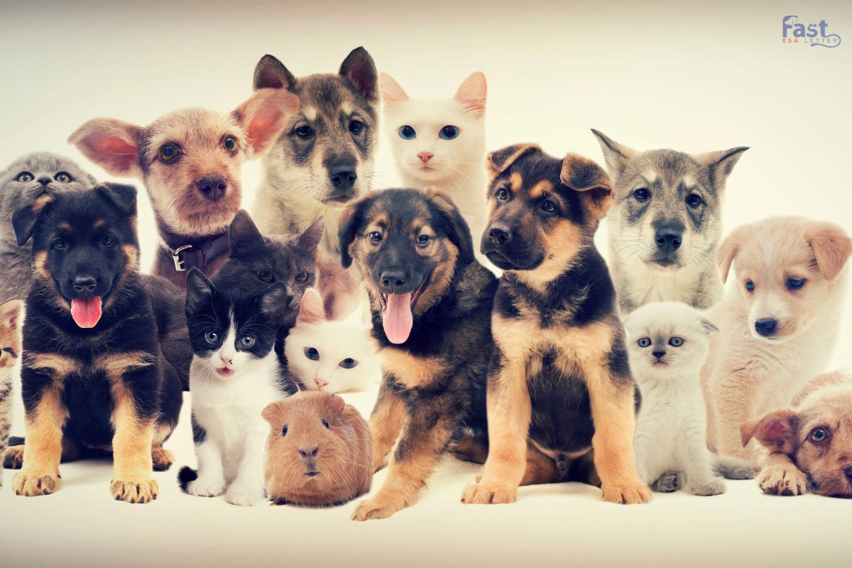 ESA Override Breed Restrictions ESA Override Breed Restrictions