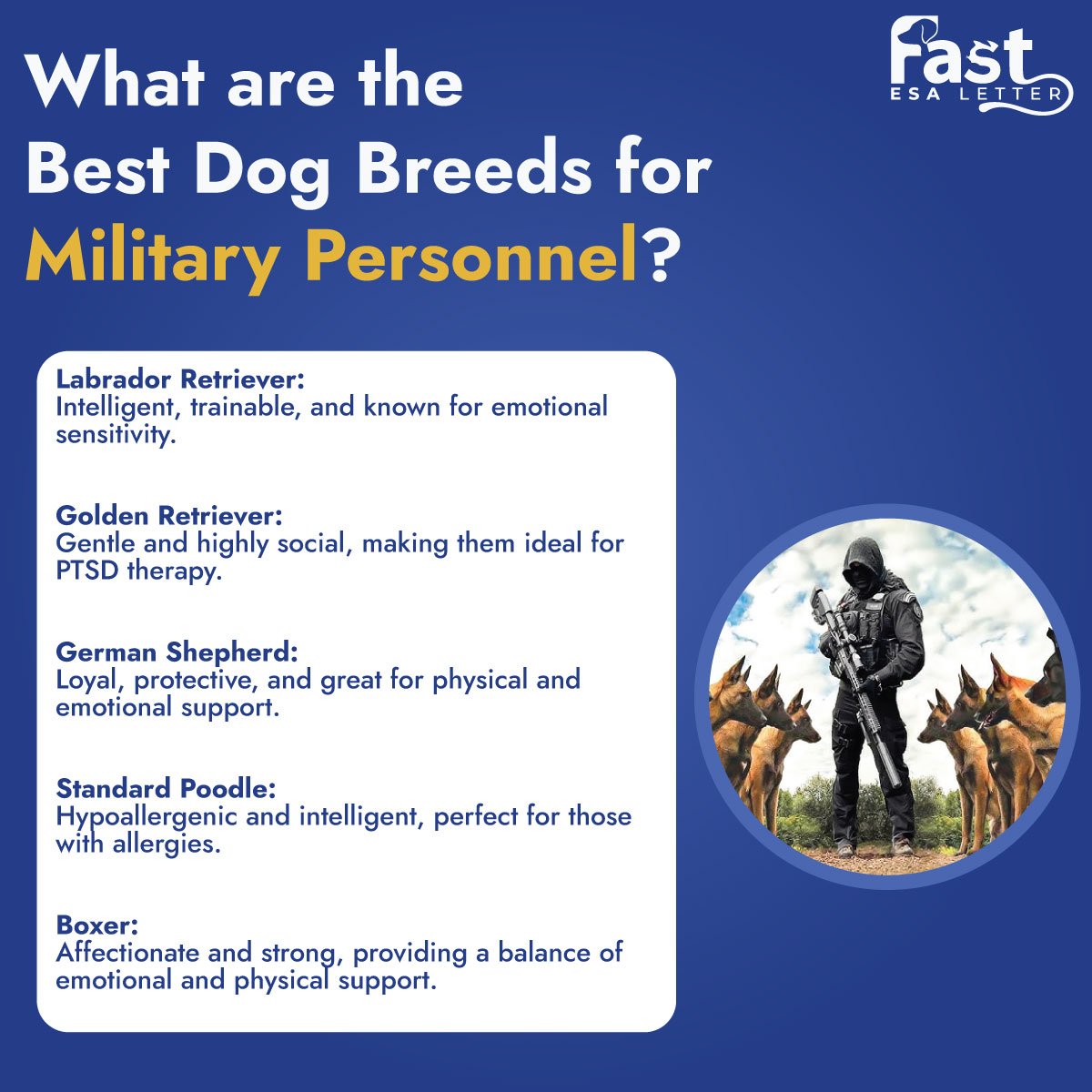 Best Dog Breeds for Military Personnel Best Dog Breeds for Military Personnel