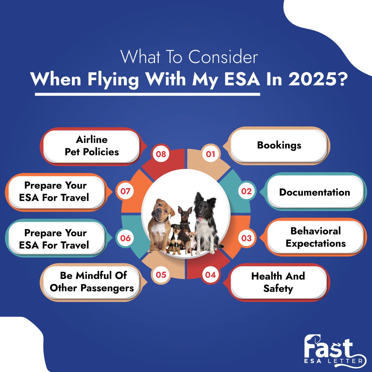 Points To Consider When Flying With ESA in 2025 Points To Consider When Flying With ESA in 2025