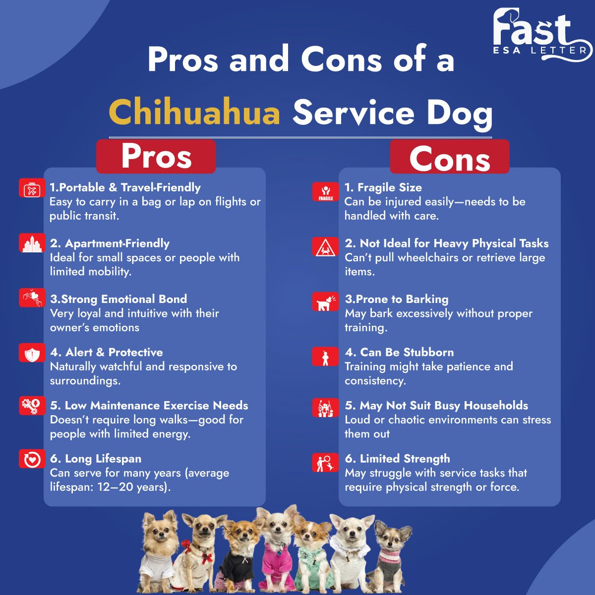 Pros and Cons of a Chihuahua Service Dog