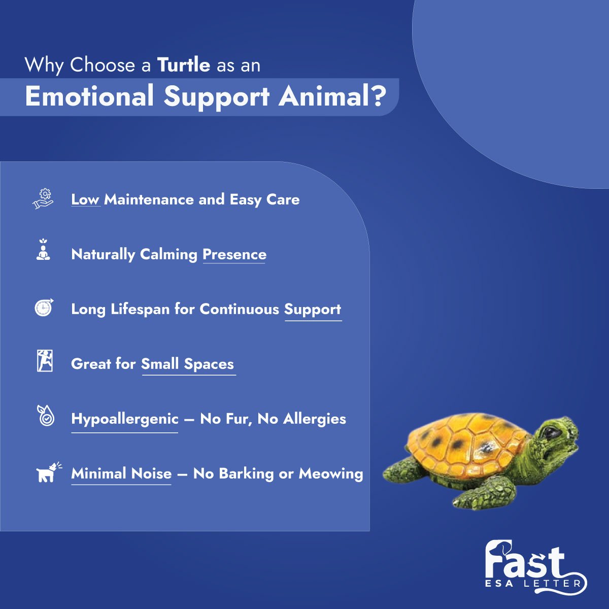 Why Choose a Turtle as an Emotional Support Animal Why Choose a Turtle as an Emotional Support Animal