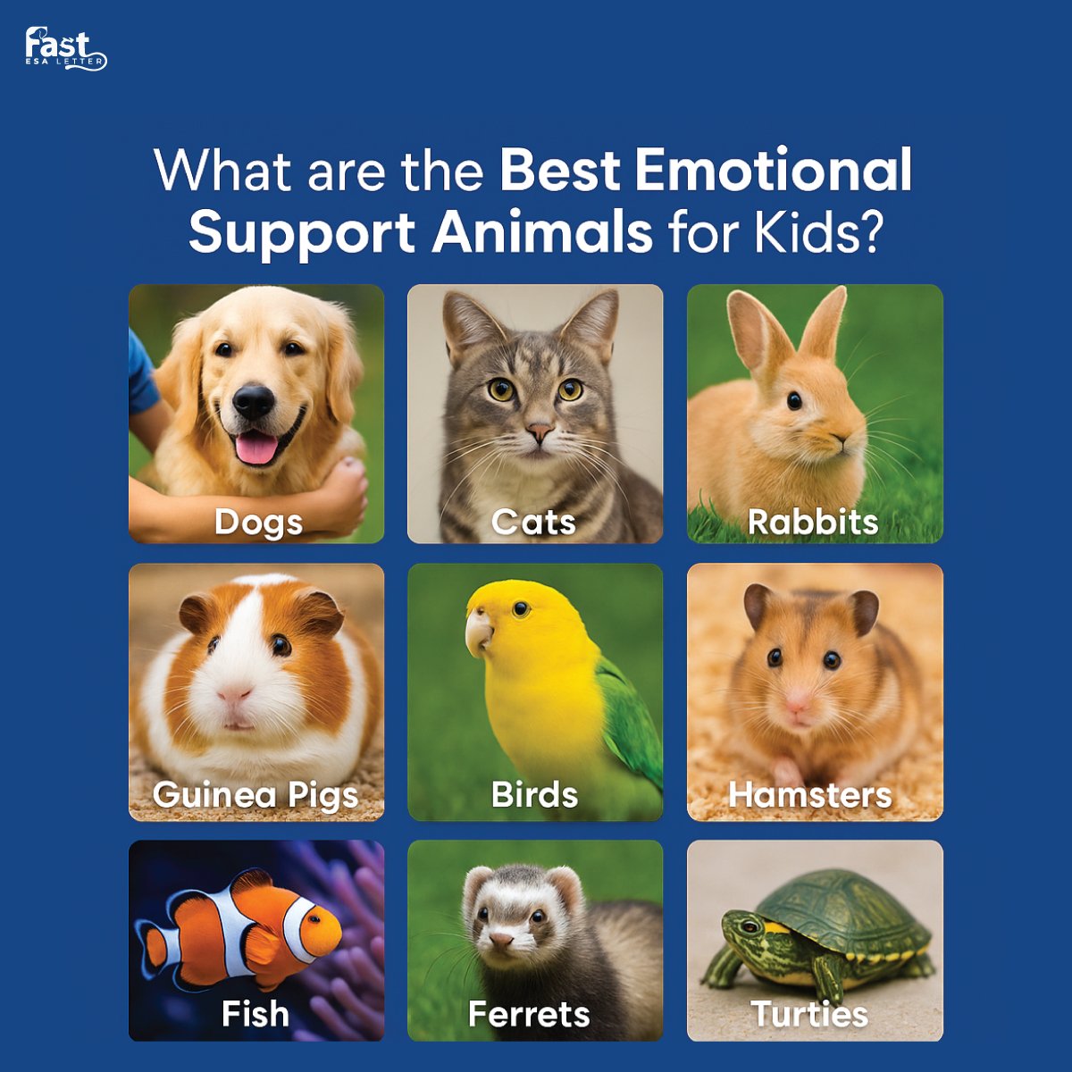 Best Emotional Support Animals for Kids