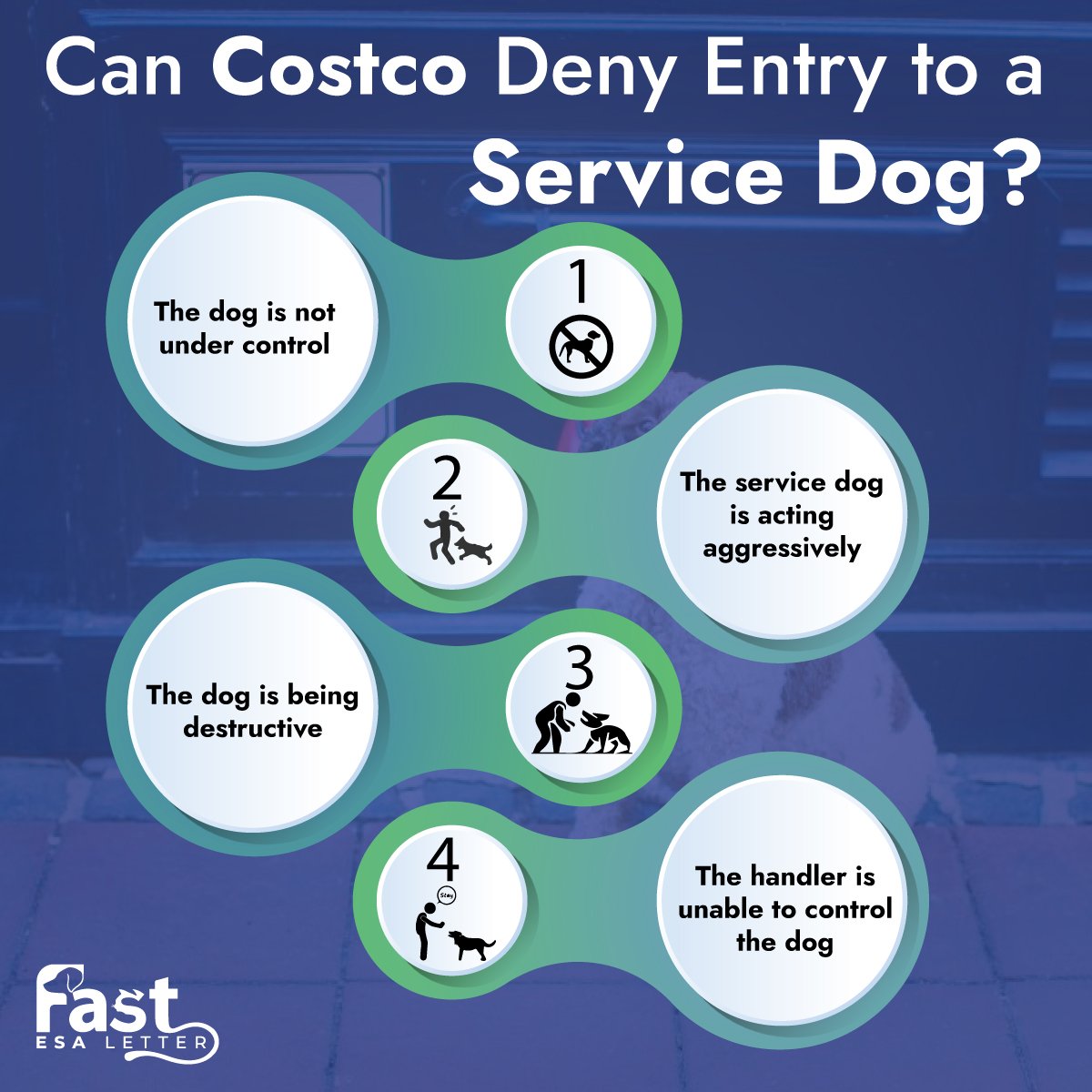 When Can Costco Deny Entry to a Service Dog When Can Costco Deny Entry to a Service Dog