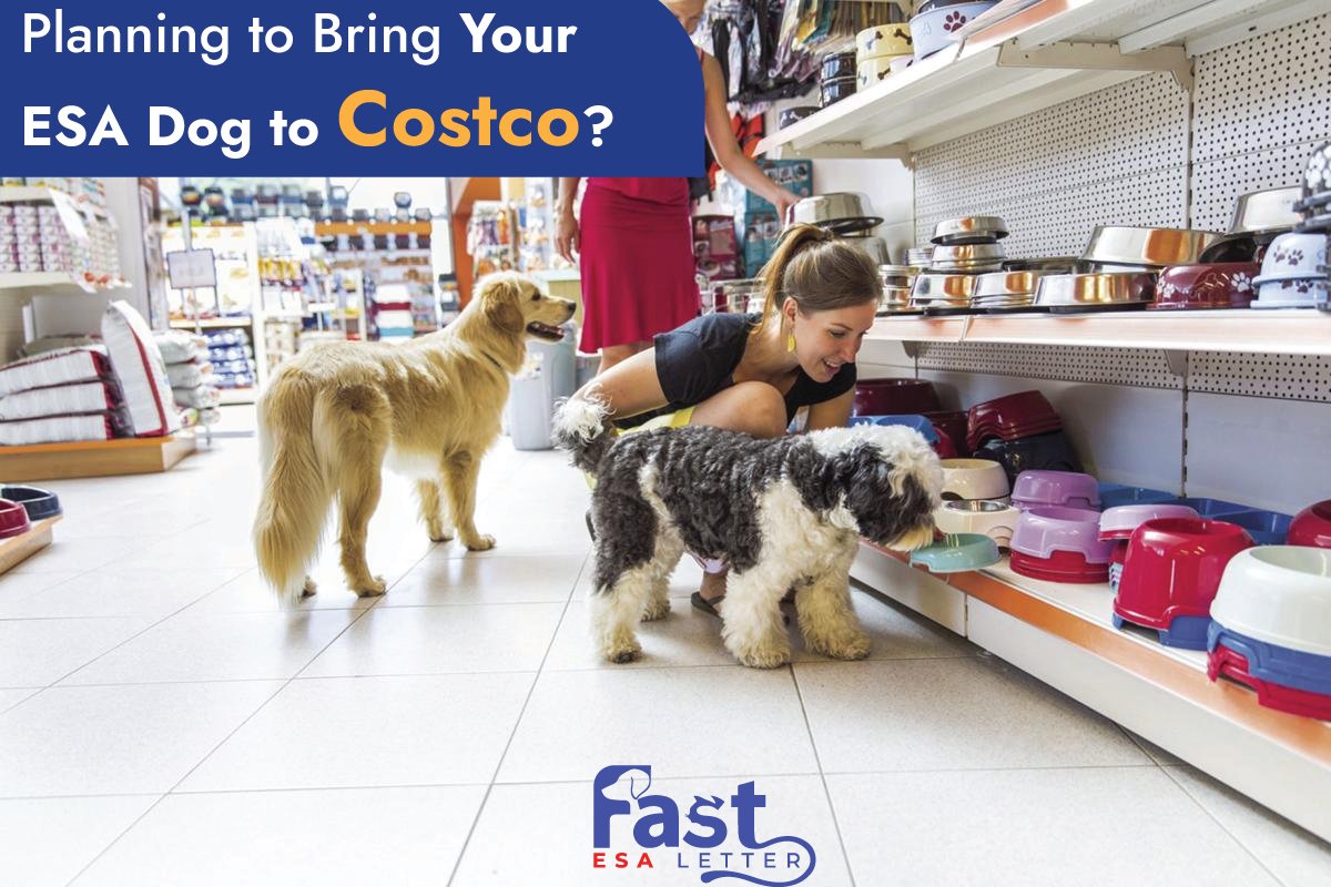 Does Costco Allow Dogs? Does Costco Allow Dogs?