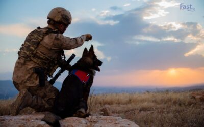 How Emotional Support Animals Help Veterans Reclaim Peace After Service?