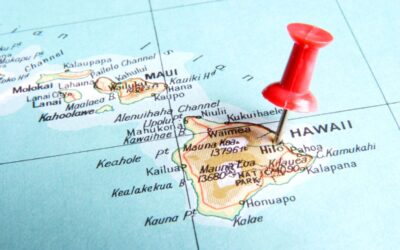 What Are the Emotional Support Animal (ESA) Laws in Hawaii?