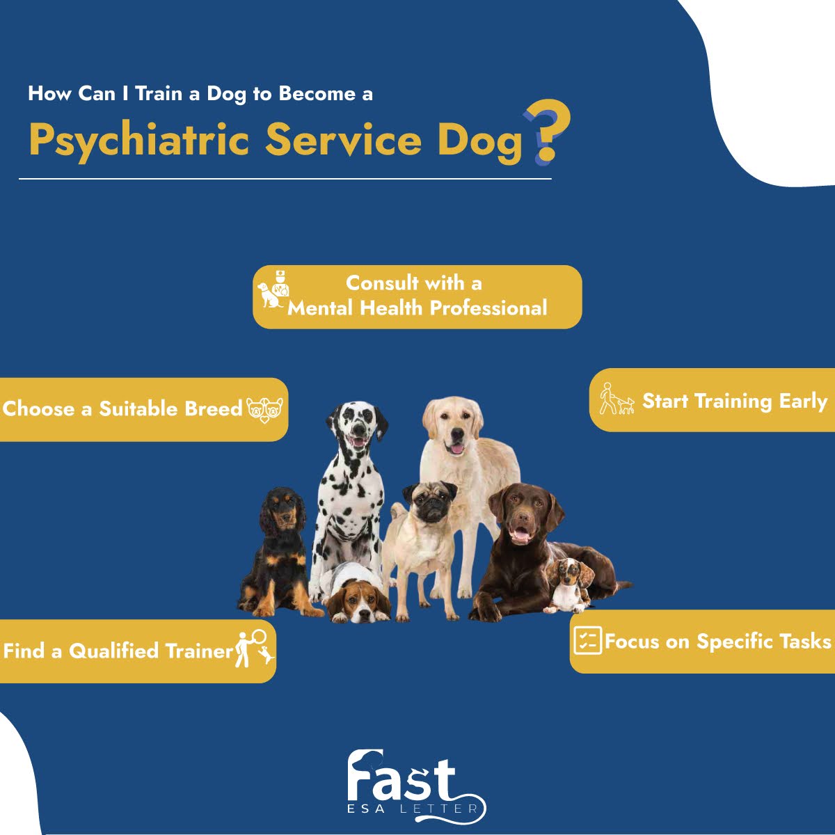 Steps To Train a Dog to Become a Psychiatric Service Dog Steps To Train a Dog to Become a Psychiatric Service Dog