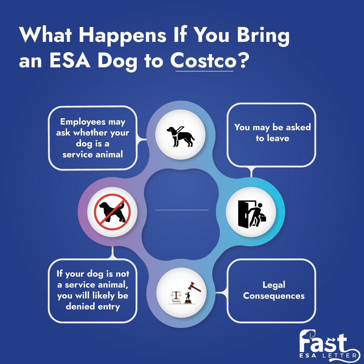 What Happens If You Bring an ESA Dog to Costco What Happens If You Bring an ESA Dog to Costco