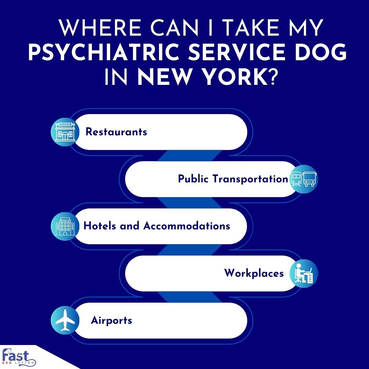 Places Where Psychiatric Service Dog Allowed in New York Places Where Psychiatric Service Dog Allowed in New York