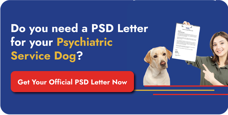 PSD Letter Online