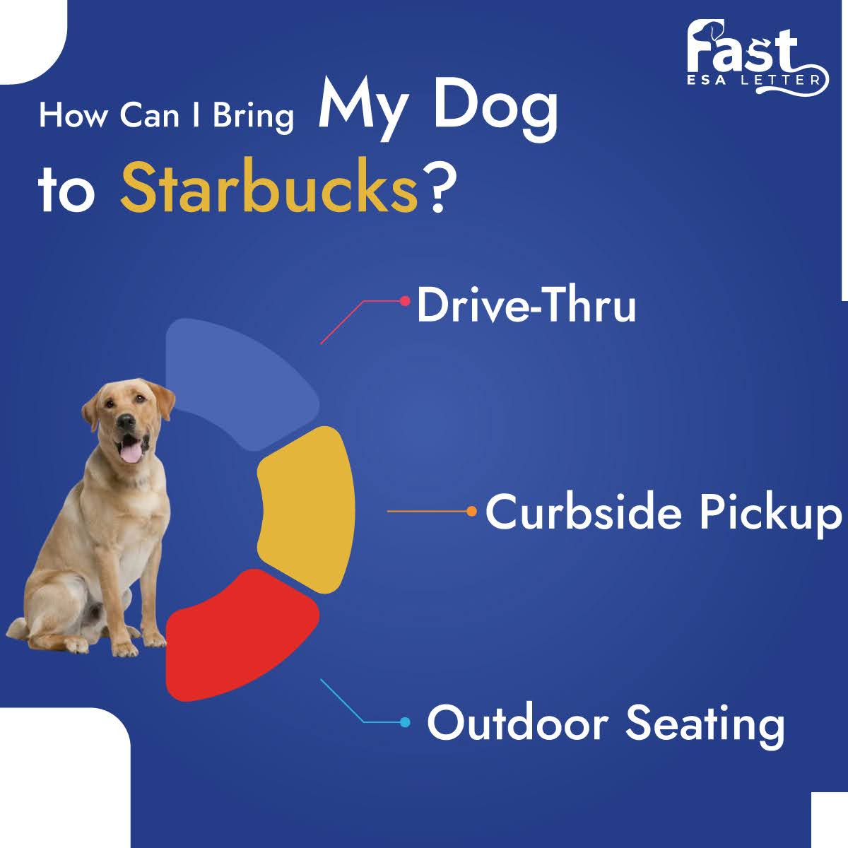 How Can I Bring My Dog to Starbucks? How Can I Bring My Dog to Starbucks?
