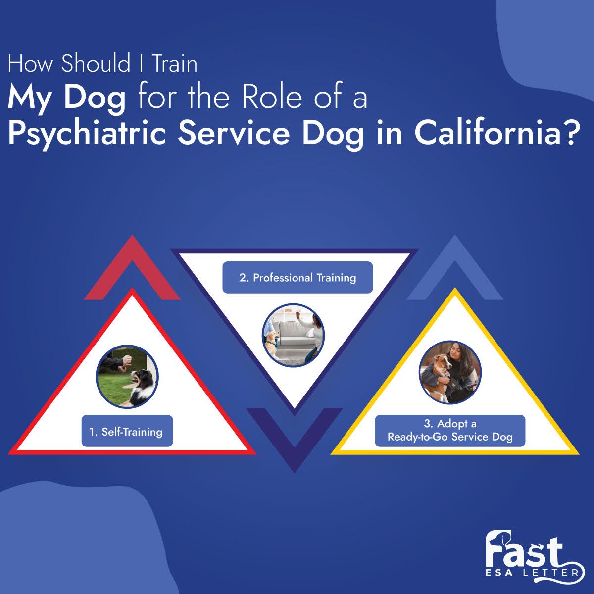 How Should I Train My Dog for the Role of a Psychiatric Service Dog in California?