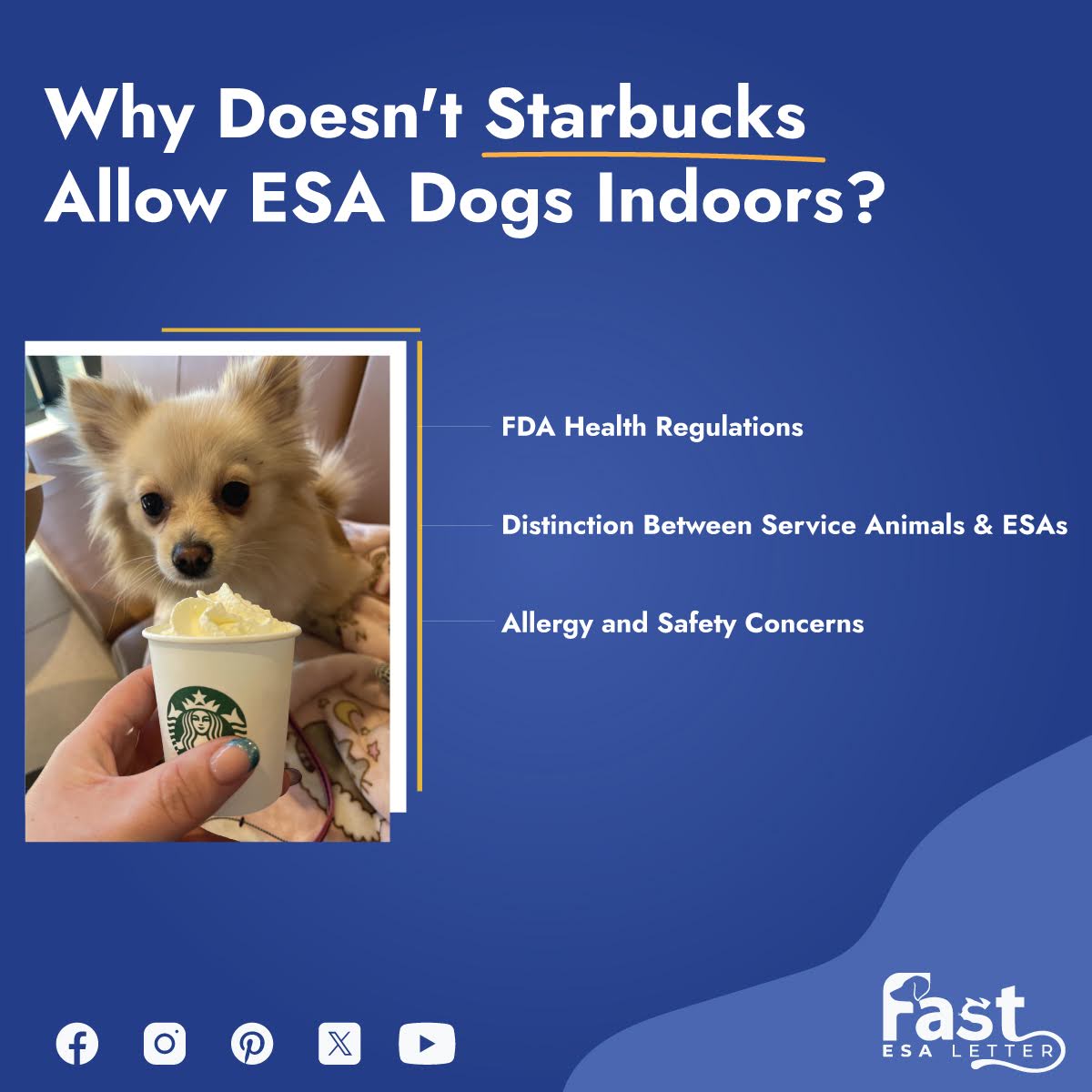 Why Doesn't Starbucks Allow ESA Dogs Indoors? Why Doesn't Starbucks Allow ESA Dogs Indoors?