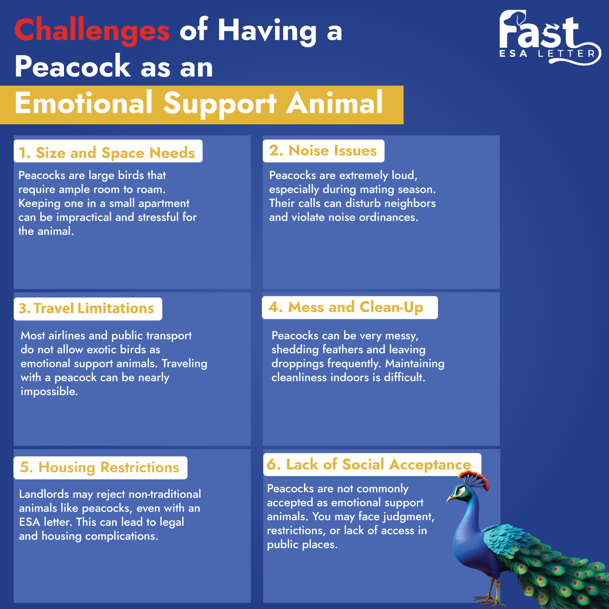 Challenges of Having a Peacock as an Emotional Support Animal
