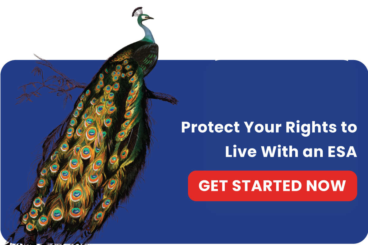 esa letter for peacock