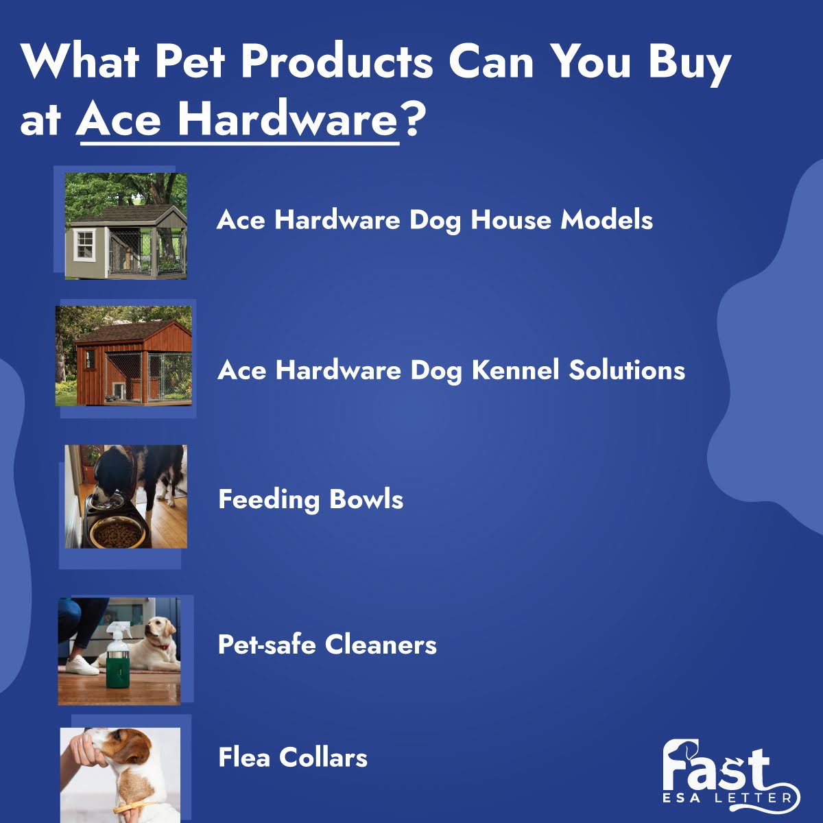 Pet Products You Buy at Ace Hardware