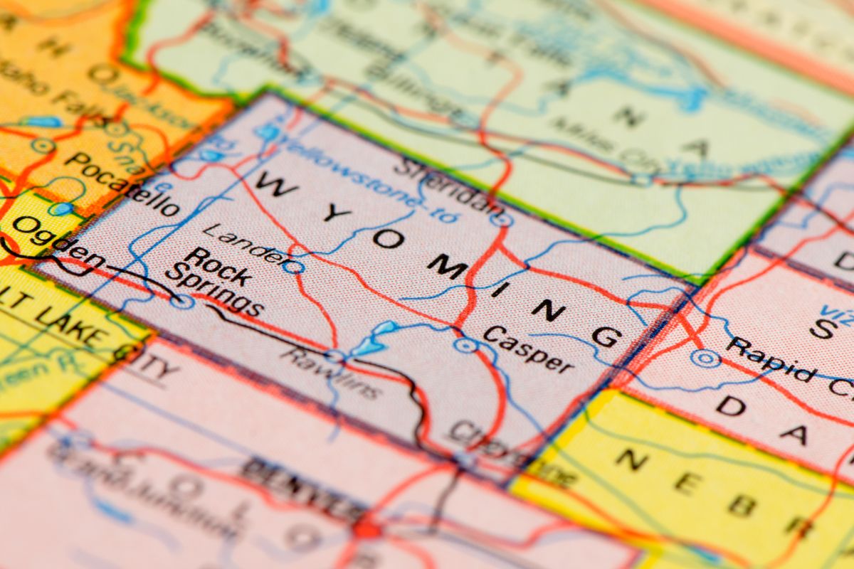 Wyoming Emotional Support Animal Laws
