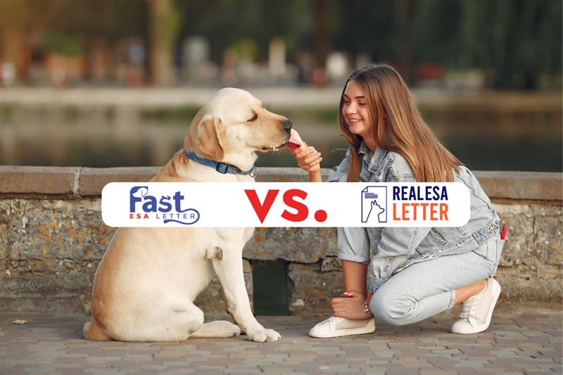 fast esa letter vs real esa letter comparison -image Fast ESA Letter Vs Real ESA Letter