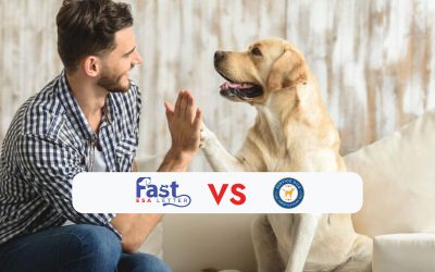 Fast ESA Letter vs Service Dog Certifications