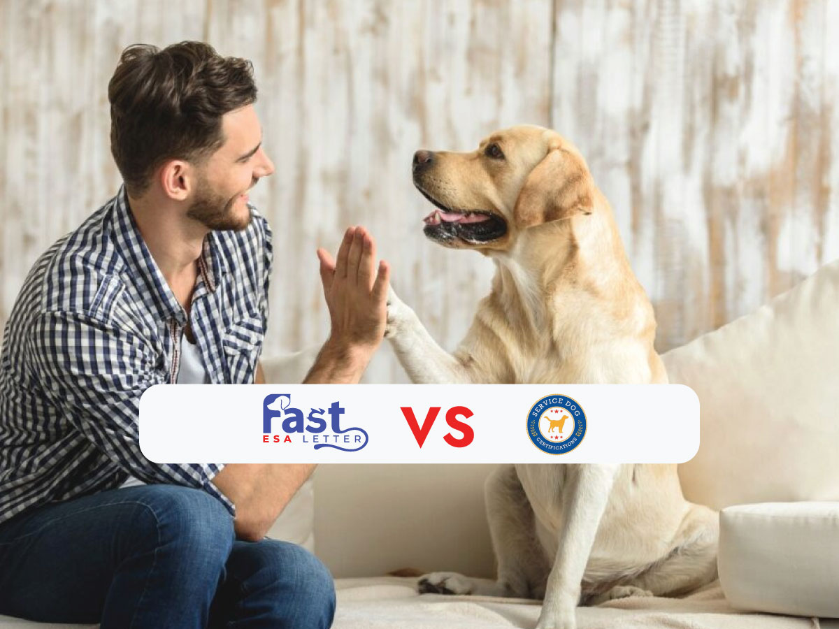 Fast ESA Letter vs Service Dog Certifications